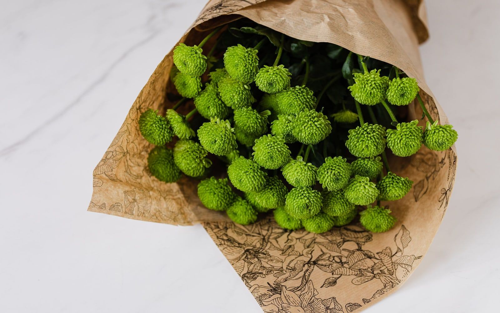 Grüne Chrysanthemen in bedrucktem Papier