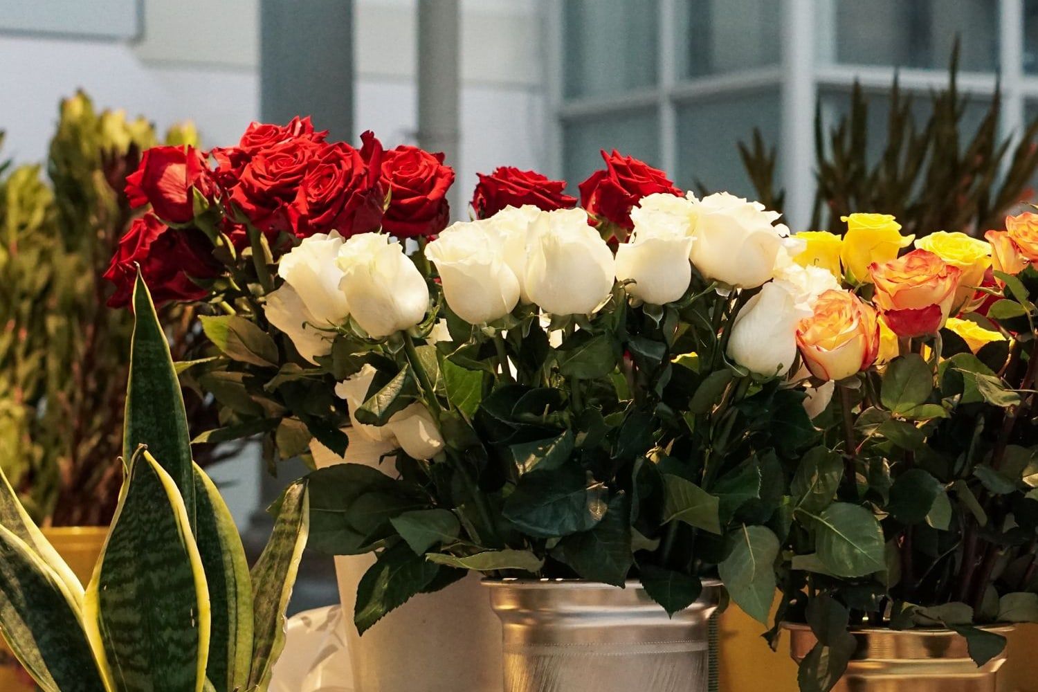 Rote, weiße und gelbe Rosen in Metallvasen