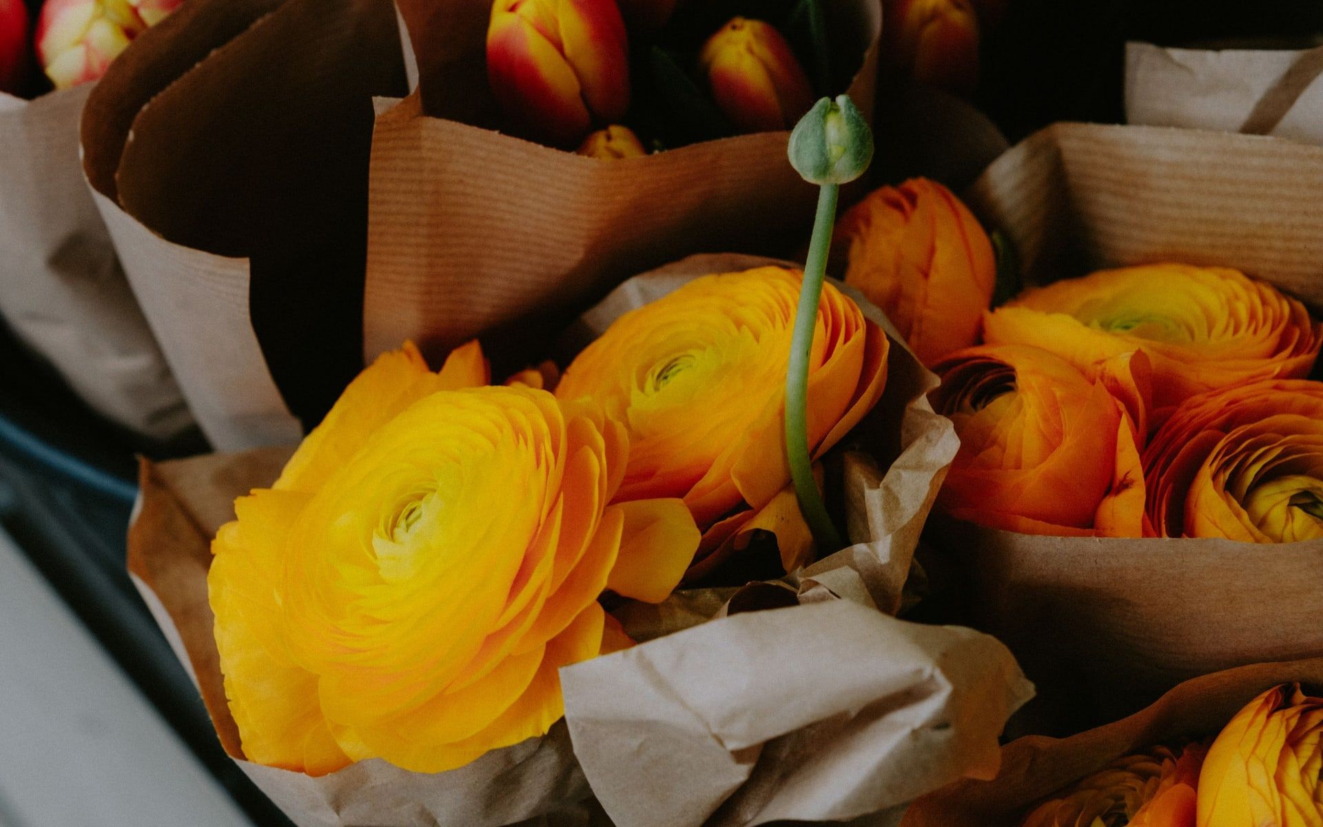 Gelbe und orangefarbene Ranunkeln, in braunes Papier gewickelt